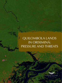 Quilombola Lands in Oriximin&aacute;: Pressure and Threats
