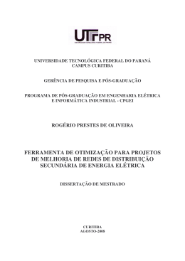 (Disserta&ccedil;&atilde;o Mestrado_rpo_2008_)