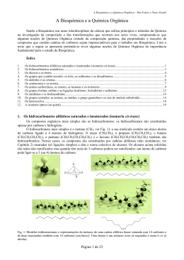 A Bioqu&iacute;mica e a Qu&iacute;mica Org&acirc;nica