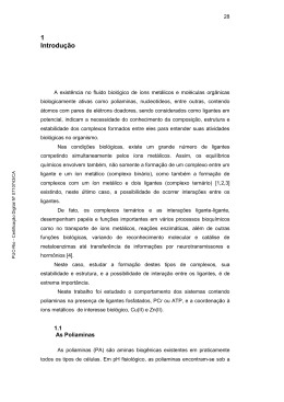1 Introdu&ccedil;&atilde;o - Maxwell - PUC-Rio