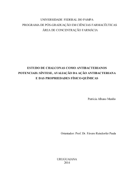 Disserta&ccedil;&atilde;o Final em PDF