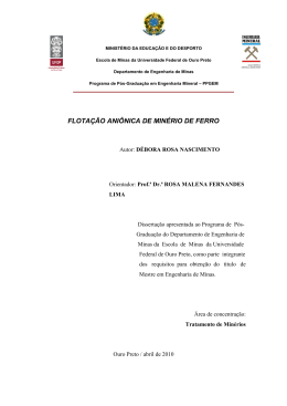FLOTA&Ccedil;&Atilde;O ANI&Ocirc;NICA DE MIN&Eacute;RIO DE FERRO