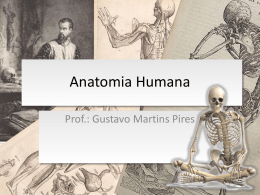 Aula 01 – Anatomia Humana (Introdução)