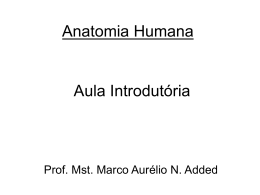 Anatomia Humana Aula Introdutória
