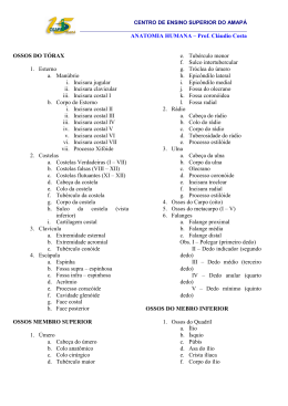 ANATOMIA HUMANA &ndash; Prof. Cl&aacute;udio Costa OSSOS DO T&Oacute;RAX 1