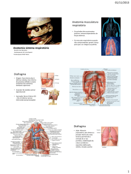 Anatomia Humana 1