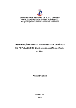 Disserta&ccedil;&atilde;o