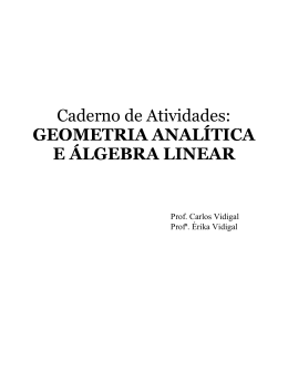 Caderno de Atividades: GEOMETRIA ANALÍTICA