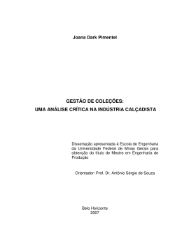 GEST&Atilde;O DE COLE&Ccedil;&Otilde;ES: UMA AN&Aacute;LISE CR&Iacute;TICA NA IND&Uacute;STRIA