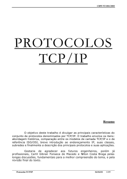 PROTOCOLOS TCP/IP - Mesonpi