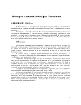 Fisiologia e Anatomia Endoscópica Nasossinusal