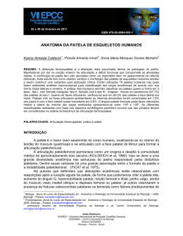 ANATOMIA DA PATELA DE ESQUELETOS HUMANOS