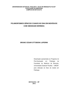 DISSERTACAO BRUNO CESAR LUPERINI 20-01