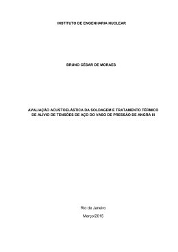 dissertação mestrado ien 2015 Bruno Cesar Moraes