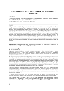 engenharia natural na reabilita&ccedil;&atilde;o de taludes e vertentes
