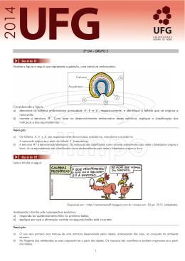 2º DIA - GRUPO 2 Analise a figura a seguir que representa