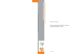 Disserta&ccedil;&atilde;o Daniel Loureiro Carreira