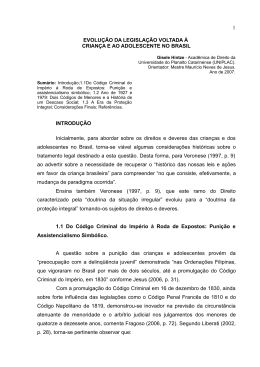 1 EVOLU&Ccedil;&Atilde;O DA LEGISLA&Ccedil;&Atilde;O VOLTADA &Agrave; CRIAN&Ccedil;A E