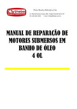 ManutenÃ§Ã£o de motores eletricos submersos