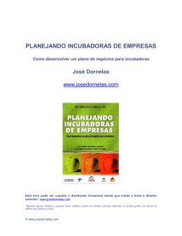 Planejando Incubadoras - Empreendedorismo – Prof. José Dornelas