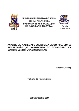AN&Aacute;LISE DA VIABILIDADE ECON&Ocirc;MICA DE UM PROJETO