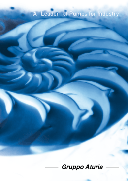 A &ldquo;Leader&rdquo; of Pumps for Industry