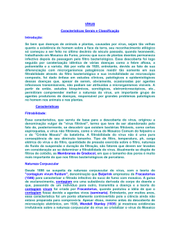 V&Iacute;RUS Caracter&iacute;sticas Gerais e Classifica&ccedil;&atilde;o Introdu&ccedil;&atilde;o: Se bem