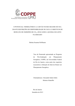 Hoffmann, Bettina Susanne. O potencial termel&eacute;trico a - PPE