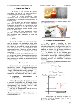 Apostila de Qu&iacute;mica III (p&aacute;g. 63 a 107)