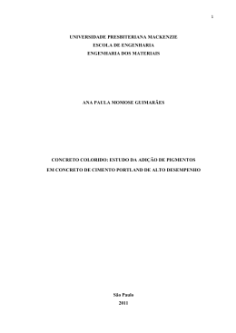 Ana Paula Momose Guimaraes - in&iacute;cio