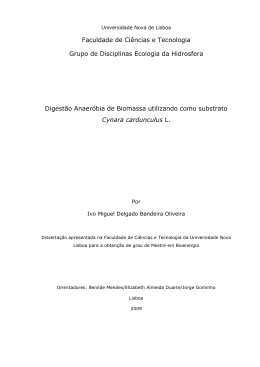 Faculdade de Ci&ecirc;ncias e Tecnologia Grupo de Disciplinas Ecologia