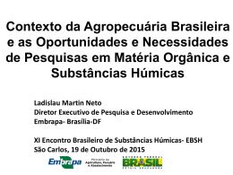 Ladislau Martin Neto - XI Encontro Brasileiro de Subst&acirc;ncias H&uacute;micas