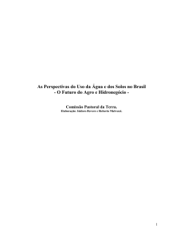 As Perspectivas do Uso da &Aacute;gua e dos Solos no Brasil