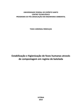 PROGRAMA DE P&Oacute;S-GRADUA&Ccedil;&Atilde;O EM ENGENHARIA AMBIENTAL