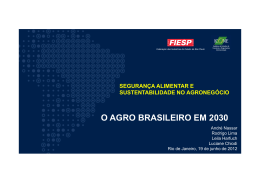 O AGRO BRASILEIRO EM 2030