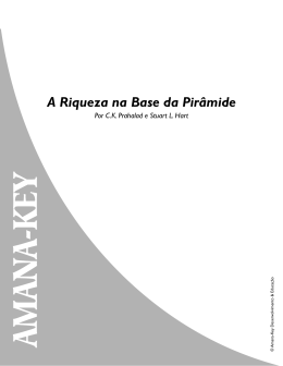 A Riqueza na Base da Pir&acirc;mide