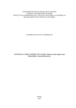 AN&Aacute;LISE DA CADEIA INTERNA DE VALOR