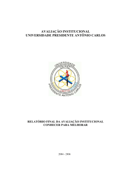 Relatório Final de Avaliação Institucinal 2004/2006