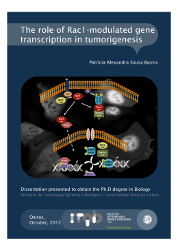 The role of Rac1-modulated gene transcription in tumorigenesis