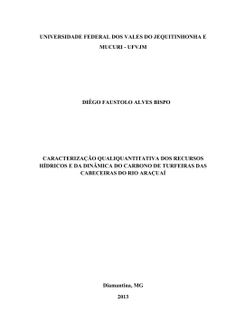 Disserta&ccedil;&atilde;o Di&ecirc;go Faustolo Alves Bispo