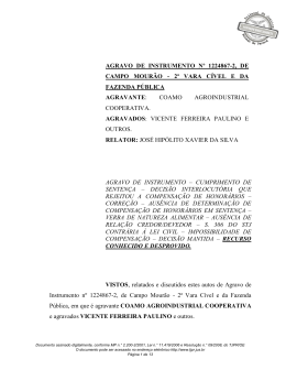AGRAVO DE INSTRUMENTO N&ordm; 1224867