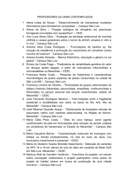PROFESSORES DA UEMA CONTEMPLADOS 1 Alana Lislea de