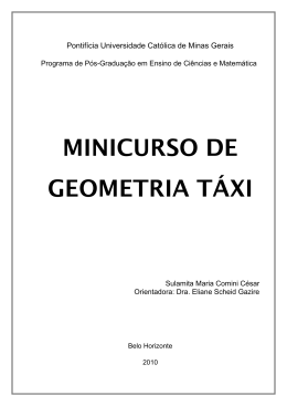 MINICURSO DE GEOMETRIA TÁXI