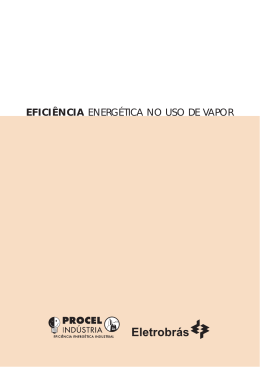 EFICI&Ecirc;NCIA ENERG&Eacute;TICA NO USO DE VAPOR