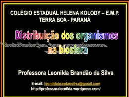 Professora Leonilda Brandão da Silva
