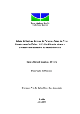 Disserta&ccedil;&atilde;o vers&atilde;o final - Universidade de Bras&iacute;lia