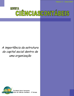 A import&acirc;ncia da estrutura do capital social dentro de uma