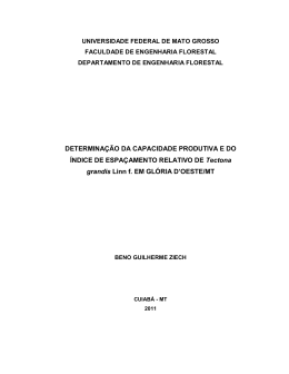 DETERMINA&Ccedil;&Atilde;O DA CAPACIDADE PRODUTIVA E DO