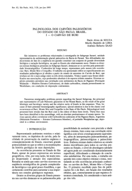 1 - o carv&atilde;o de buri - Instituto Geol&oacute;gico