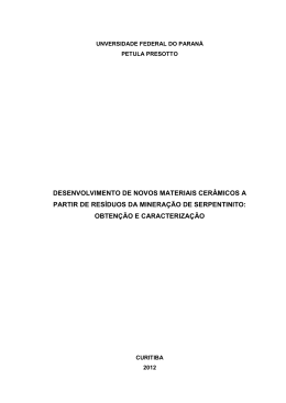 DESENVOLVIMENTO DE NOVOS MATERIAIS CER&Acirc;MICOS